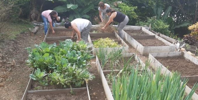 En medio de la crisis alimentaria las huertas caseras son una solución a corto plazo