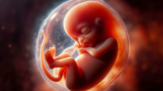 Puerto Rico aprueba reforma que tipifica el aborto como asesinato, generando controversia sobre derechos reproductivos y la autonomía de las mujeres.