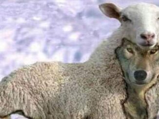 Lecturas bíblicas para estos últimos tiempos (IX), en esta lectura se hace una reflexión necesaria y urgente frente a una realidad que la misma Palabra