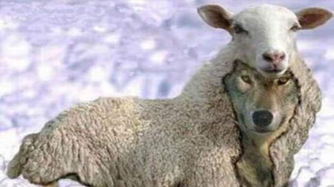 Lecturas bíblicas para estos últimos tiempos (IX), en esta lectura se hace una reflexión necesaria y urgente frente a una realidad que la misma Palabra