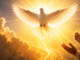 el Espiritu Santo el gran desconocido de la Santisima Trinidad